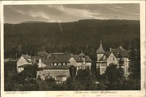 Schierke Harz Partie am Hotel Waldfrieden / Schierke Brocken /Harz LKR