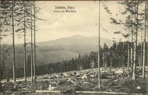 Schierke Harz Partie mit Wurmberg / Schierke Brocken /Harz LKR