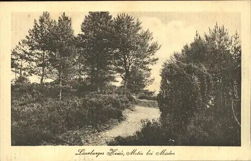 Lueneburger Heide Motiv bei Mueden Kat. Walsrode