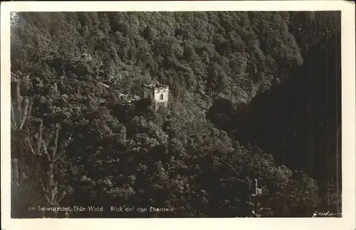 Schwarzatal Blick auf den Eberstein Kat. Rudolstadt