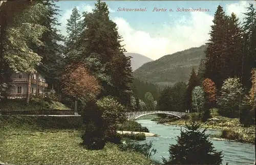 Schwarzatal Partie am Schweizerhaus Kat. Rudolstadt