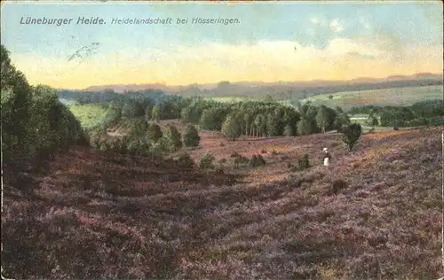 Lueneburger Heide Heidelandschaft bei Hoesseringen Kat. Walsrode