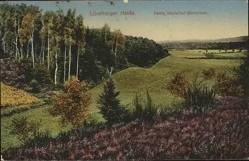 Lueneburger Heide Partie Westerhof Sierversen Kat. Walsrode