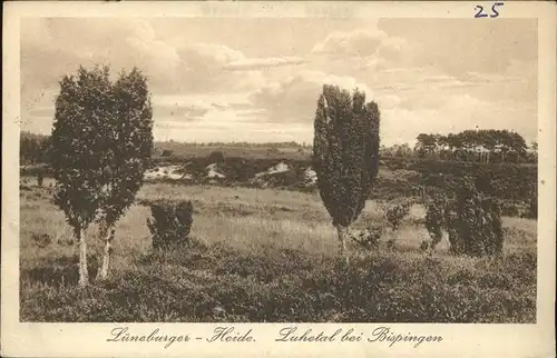 Lueneburger Heide Luhetal bei Bispingen Kat. Walsrode