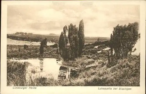 Lueneburger Heide Luhequelle bei Bispingen Kat. Walsrode