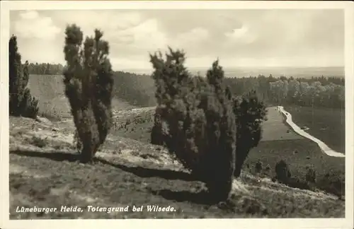 Lueneburger Heide Totengrund bei Wilsede Kat. Walsrode