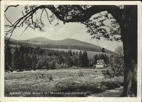 Schierke Harz Kurpark mit Wurmberg und Winterberg / Schierke Brocken /Harz LKR