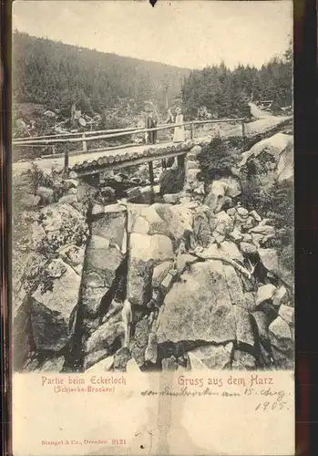 Schierke Harz Partie beim Eckerloch / Schierke Brocken /Harz LKR