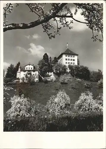 Gelfingen Schloss Heidegg Kat. Gelfingen