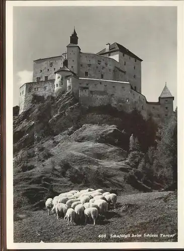 Tarasp Schloss Schafe Kat. Tarasp