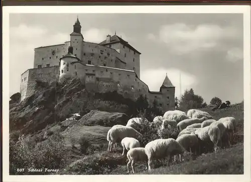 Tarasp Schloss Schafe Kat. Tarasp