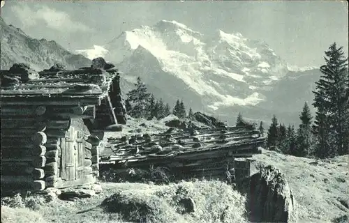 kk12063 Wengen BE Panorama Blick auf Jungfrau Berghuette Kategorie. Wengen Alte Ansichtskarten