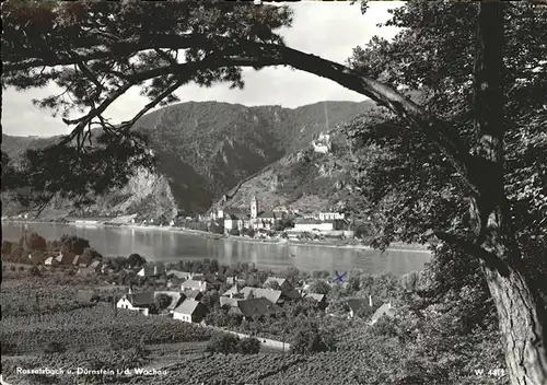 Duernstein Wachau Panorama Rossatzbach und Duernstein am Donau Ufer / Duernstein /Waldviertel