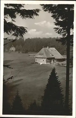 Furtwangen Hoehengasthaus und Pension Martinskapelle Kat. Furtwangen im Schwarzwald