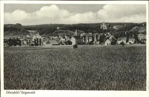 Scheinfeld Steigerwald Panorama