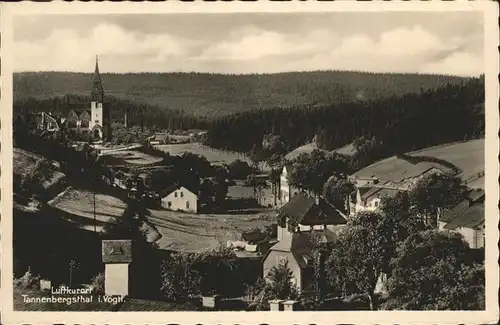 Tannenbergsthal Vogtland Panorama Feldpost Kat. Tannenbergsthal Vogtland