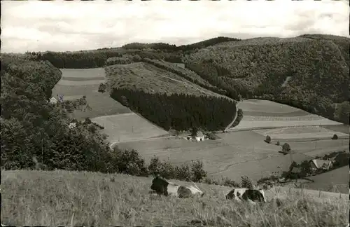 Eslohe Sauerland Waldhaus ueber der Weide Kat. Eslohe (Sauerland)