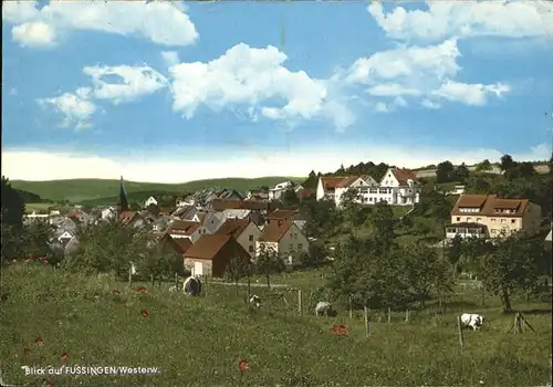 Fussingen  Kat. Waldbrunn (Westerwald)