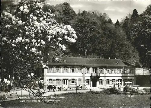 Auerbach Bergstrasse Hotel Pension Cafe Herrenhaus Kat. Bensheim