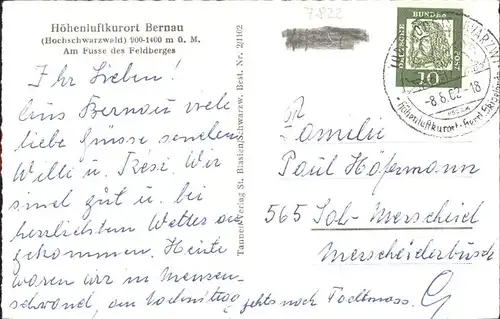 Bernau Schwarzwald Tracht Kuehe  Kat. Bernau im Schwarzwald