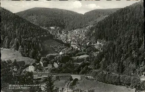 Triberg Schwarzwald  Kat. Triberg im Schwarzwald