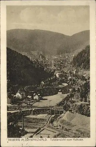 Triberg Schwarzwald  Kat. Triberg im Schwarzwald