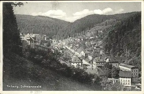 Triberg Schwarzwald  Kat. Triberg im Schwarzwald