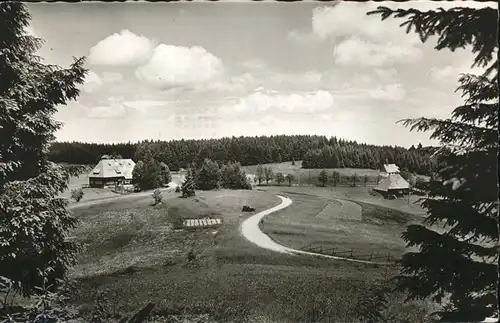 Furtwangen Gasthaus Pension Martinskapelle Hugo Stolz Kat. Furtwangen im Schwarzwald