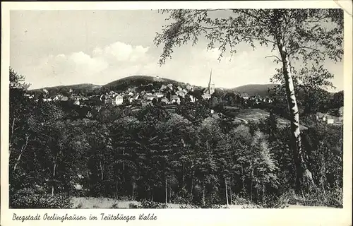 Oerlinghausen Bergstadt im Teutoburger Wald Kat. Oerlinghausen
