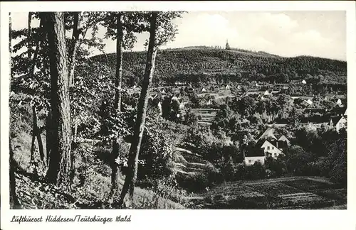 Hiddesen Teutoburger Wald Panorama Kat. Detmold