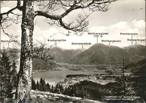 Rottach Egern Tegernsee mit Alpenpanorama Kat. Rottach Egern