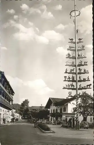 Marquartstein Hotel Alpenrose Maibaum Kat. Marquartstein