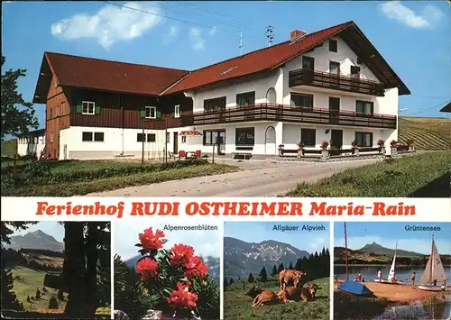 Maria Rain Allgaeu Ferienhof Rudi Ostheimer / Mittelberg Oy /Oberallgaeu LKR
