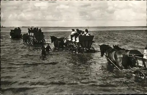 Cuxhaven Nordseebad Wattwagen auf der Fahrt zur Insel Neuwerk