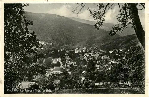 Bad Blankenburg Panorama Kat. Bad Blankenburg