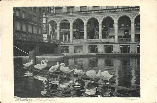 Hamburg Schwaene vor den Alsterakaden  Kat. Hamburg