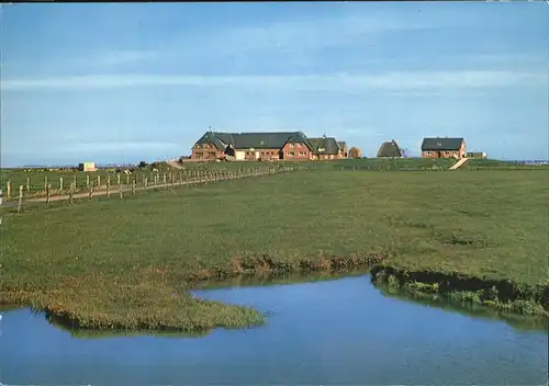 Langeness Hallig Langeness   Mayenswarft Kat. Langeness