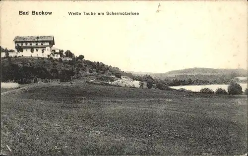 Buckow Maerkische Schweiz Weisse Taube am Schermuetzelsee Kat. Buckow Maerkische Schweiz