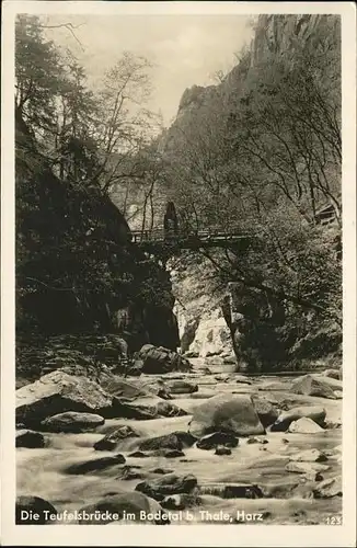 Thale Harz Die Teufelsbruecke im Bodetal Kat. Thale