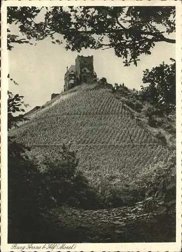 Alf Mosel Burg Arras