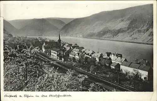 Kestert Rhein Panorama in der Kirschenbluete