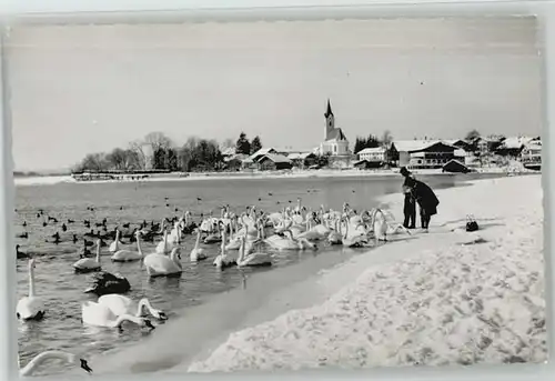 Seebruck Chiemsee  o 1963