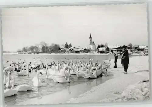 Seebruck Chiemsee  o 1963