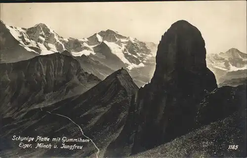 Schynige Platte mit Gummihorn Eiger Moench Jungfrau Kat. Schynige Platte