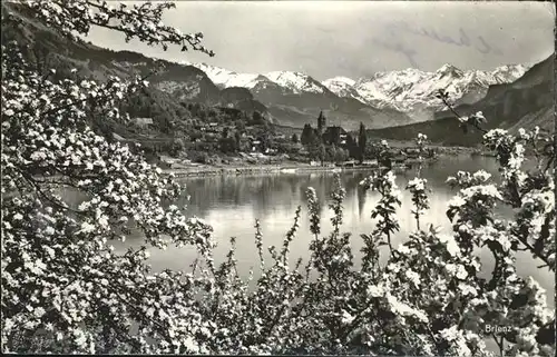 Brienz BE mit Haslibergen Kat. Brienz