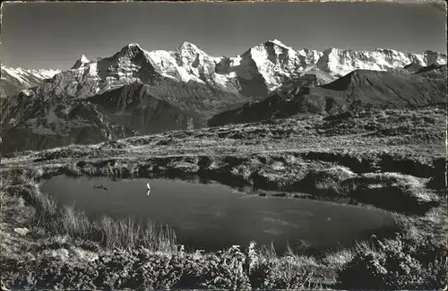 Beatenberg Niederhorn Seeli mit Blick auf die Berner Hochalpen Kat. Beatenberg