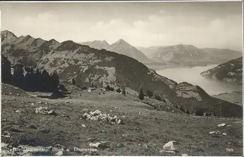 Breitlauenenalp Blick auf den Thuner See Kat. Gsteigwiler