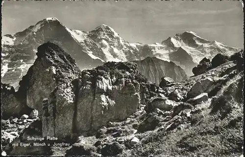 Schynige Platte mit Eiger Moench Jungfrau Kat. Schynige Platte