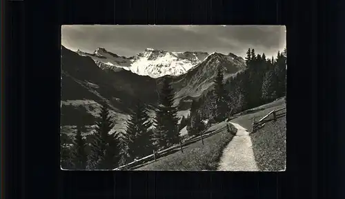 Adelboden BE Hoernliweg Steghorn und Wildstrubel Kat. Adelboden