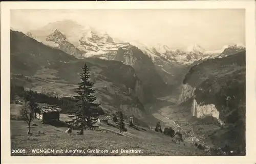 Wengen BE mit Jungfrau Grosshorn und Breithorn Kat. Wengen